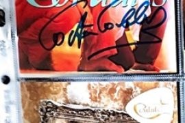 Costa_und_Lucas_Cordalis_1