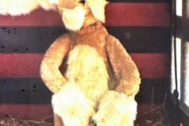 Filmpark_Babelsberg_Figuren_aus_Janosch_2