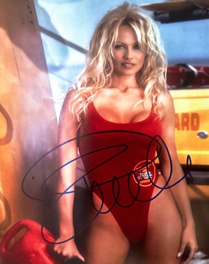 Pamela_Anderson_1