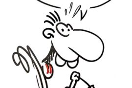 R_tger_Feldmann_Br_sel